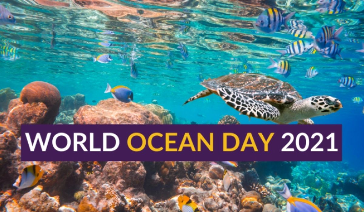 World Ocean Day 2021 is an integral reminder of ocean’s role in the lives of people